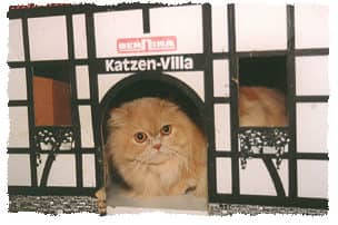 Außenansicht des Katzenhotels Villa Maunz in Overath-Untereschbach